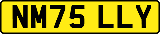 NM75LLY