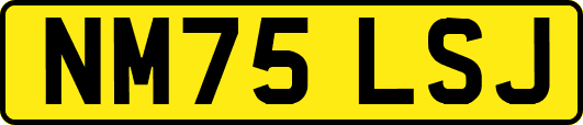 NM75LSJ