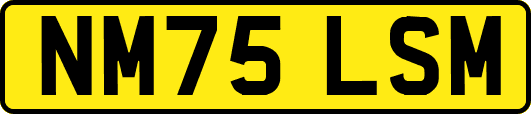 NM75LSM