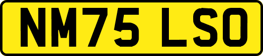 NM75LSO