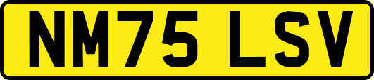 NM75LSV
