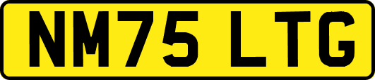 NM75LTG
