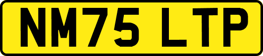 NM75LTP