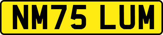 NM75LUM