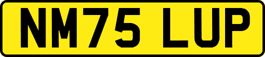 NM75LUP