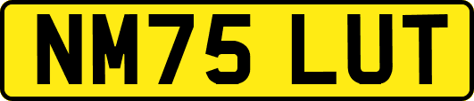 NM75LUT