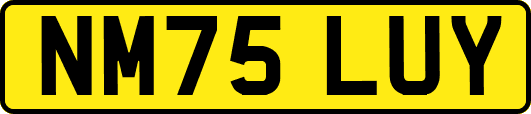 NM75LUY