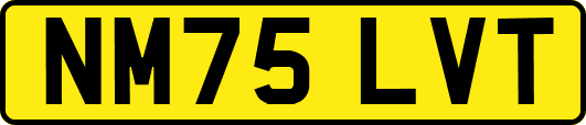 NM75LVT