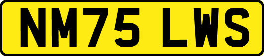 NM75LWS