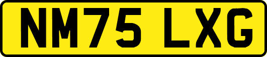 NM75LXG
