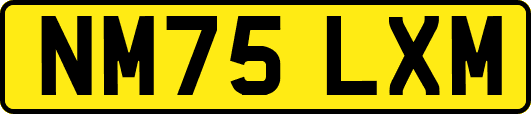 NM75LXM
