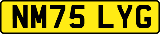 NM75LYG