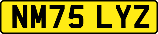 NM75LYZ