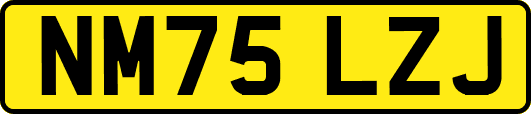 NM75LZJ