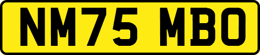 NM75MBO