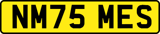 NM75MES