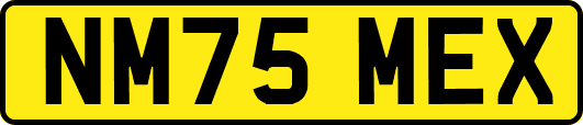NM75MEX
