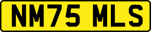 NM75MLS