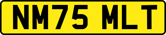 NM75MLT