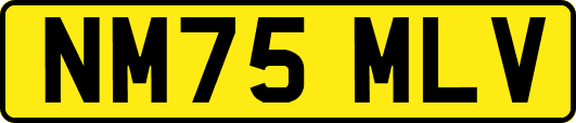 NM75MLV