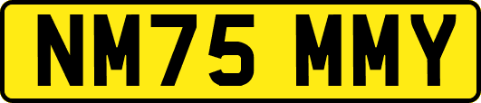 NM75MMY