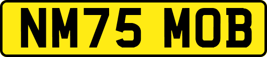 NM75MOB
