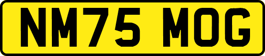 NM75MOG