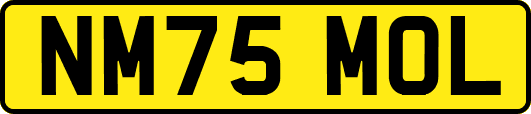 NM75MOL