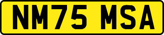 NM75MSA
