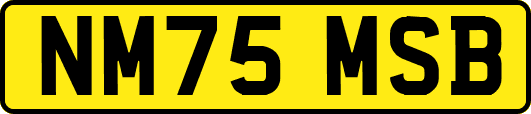 NM75MSB