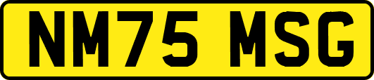 NM75MSG