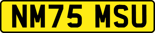 NM75MSU