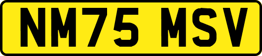 NM75MSV