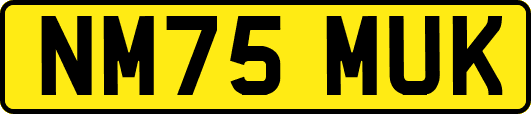 NM75MUK