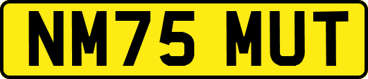 NM75MUT