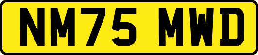 NM75MWD