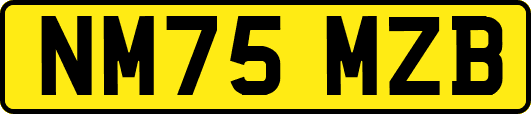 NM75MZB