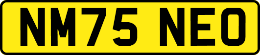 NM75NEO