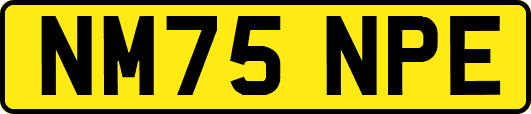 NM75NPE