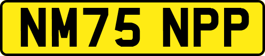 NM75NPP