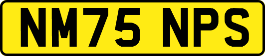 NM75NPS