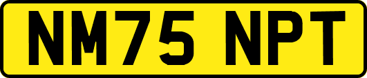 NM75NPT