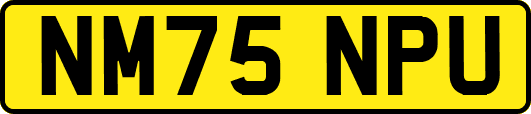 NM75NPU