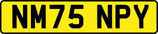 NM75NPY