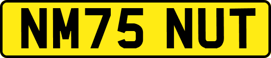 NM75NUT