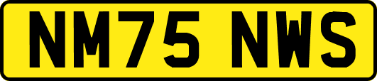 NM75NWS