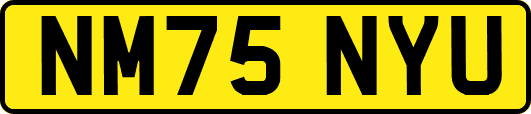 NM75NYU