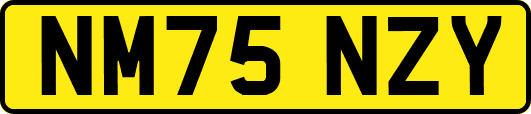 NM75NZY