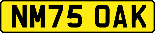 NM75OAK