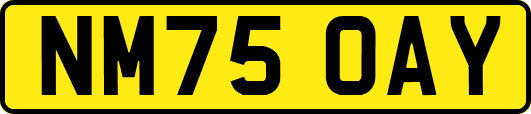NM75OAY